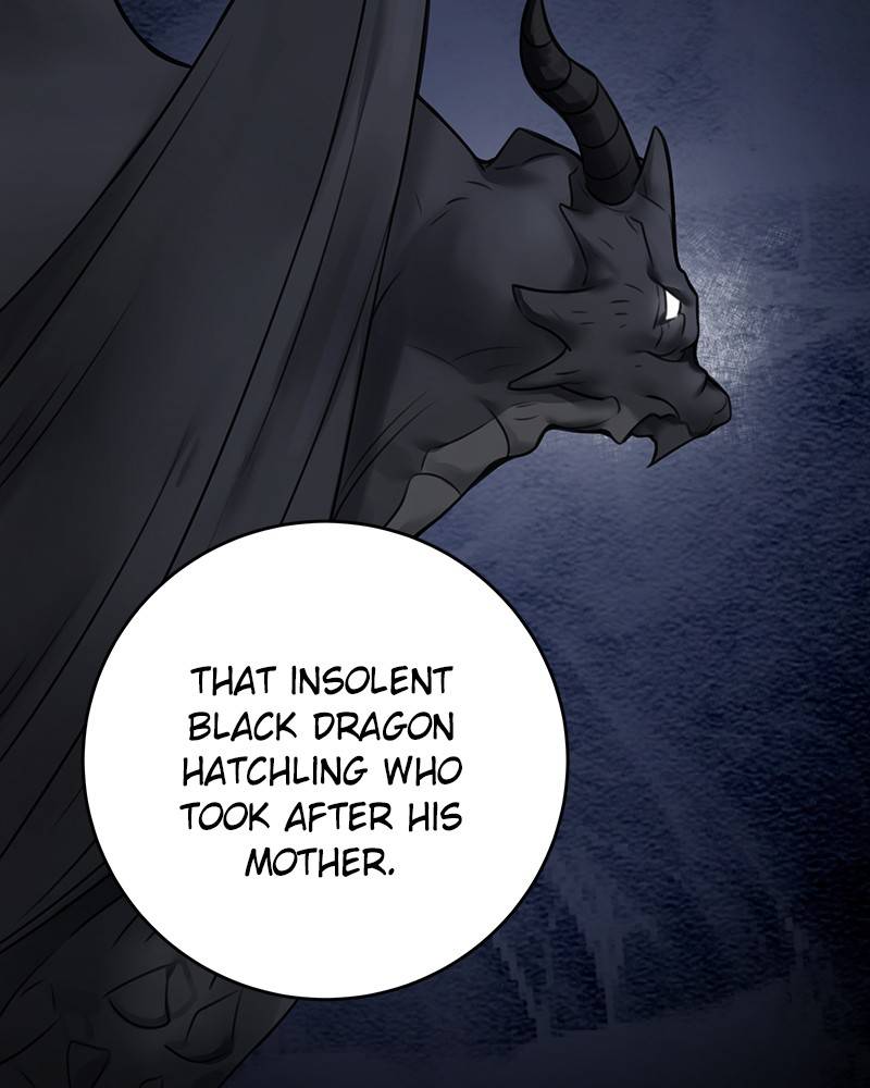 The Newlywed Life of a Witch and a Dragon chapter 69 - page 29
