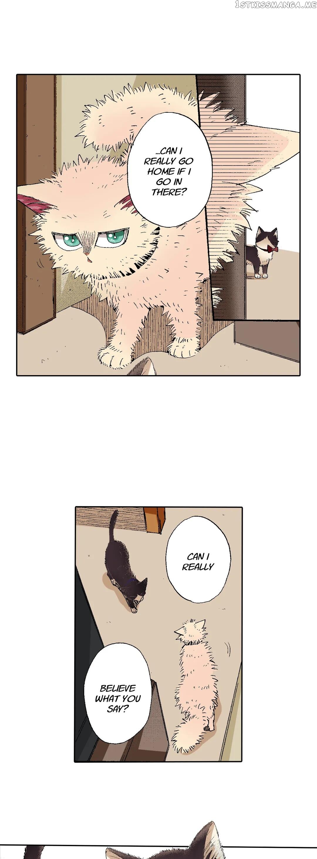 My Roommate Is A Cat chapter 55 - page 23