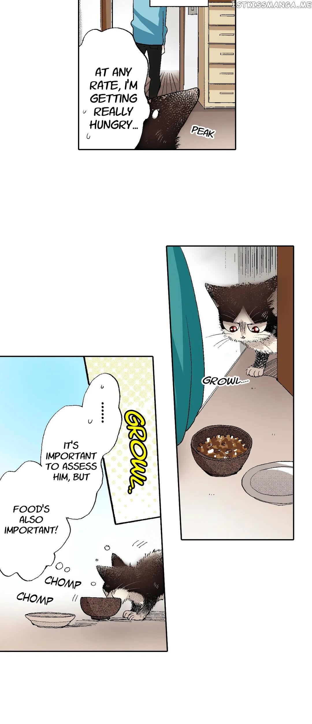 My Roommate Is A Cat chapter 53 - page 10