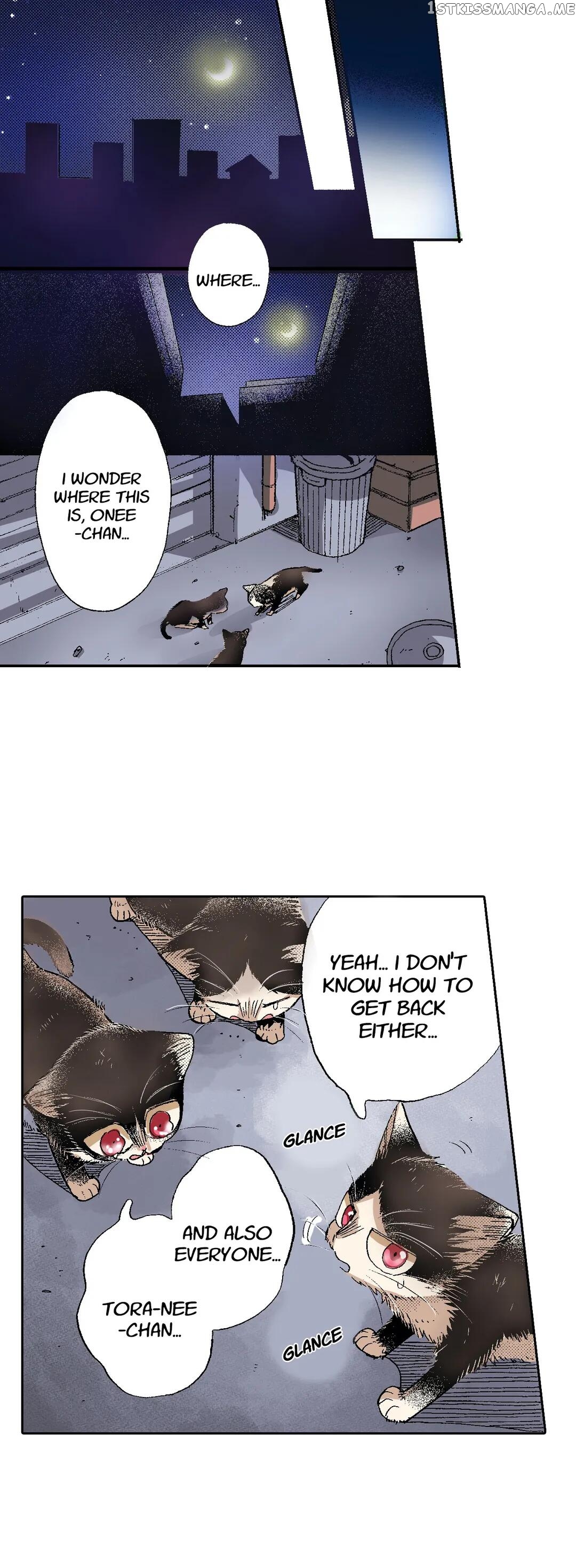 My Roommate Is A Cat chapter 50 - page 21