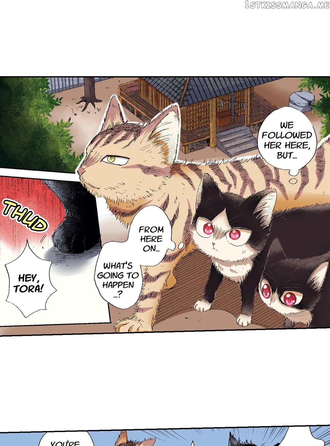 My Roommate Is A Cat chapter 49 - page 20