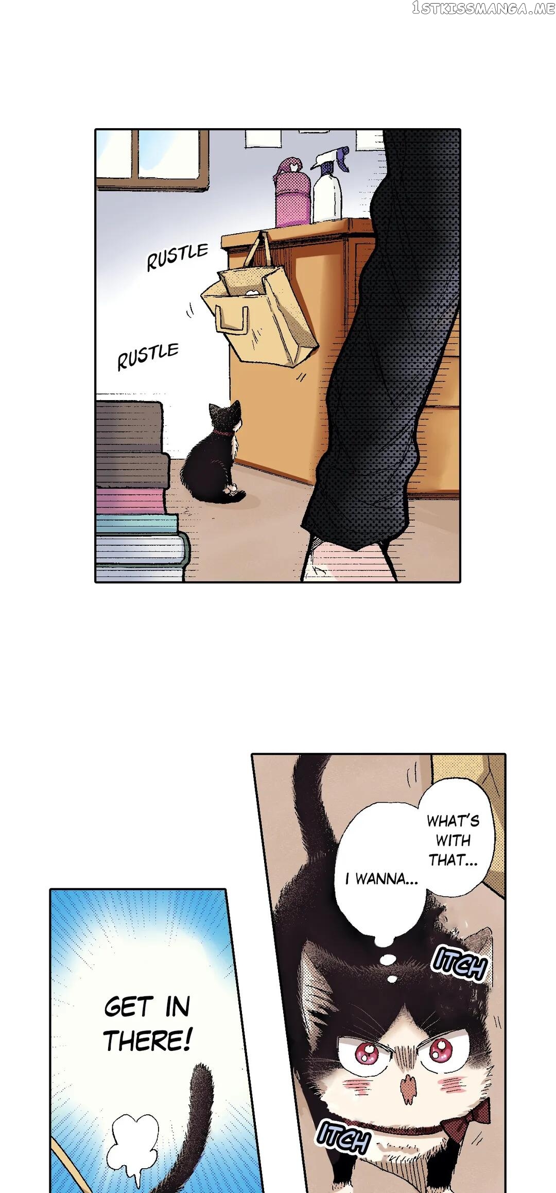 My Roommate Is A Cat chapter 49 - page 4