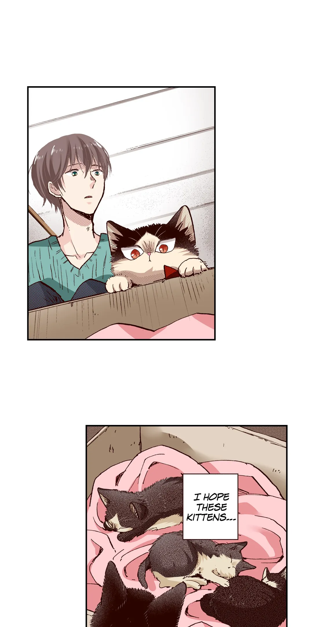 My Roommate Is A Cat Chapter 64 - page 13
