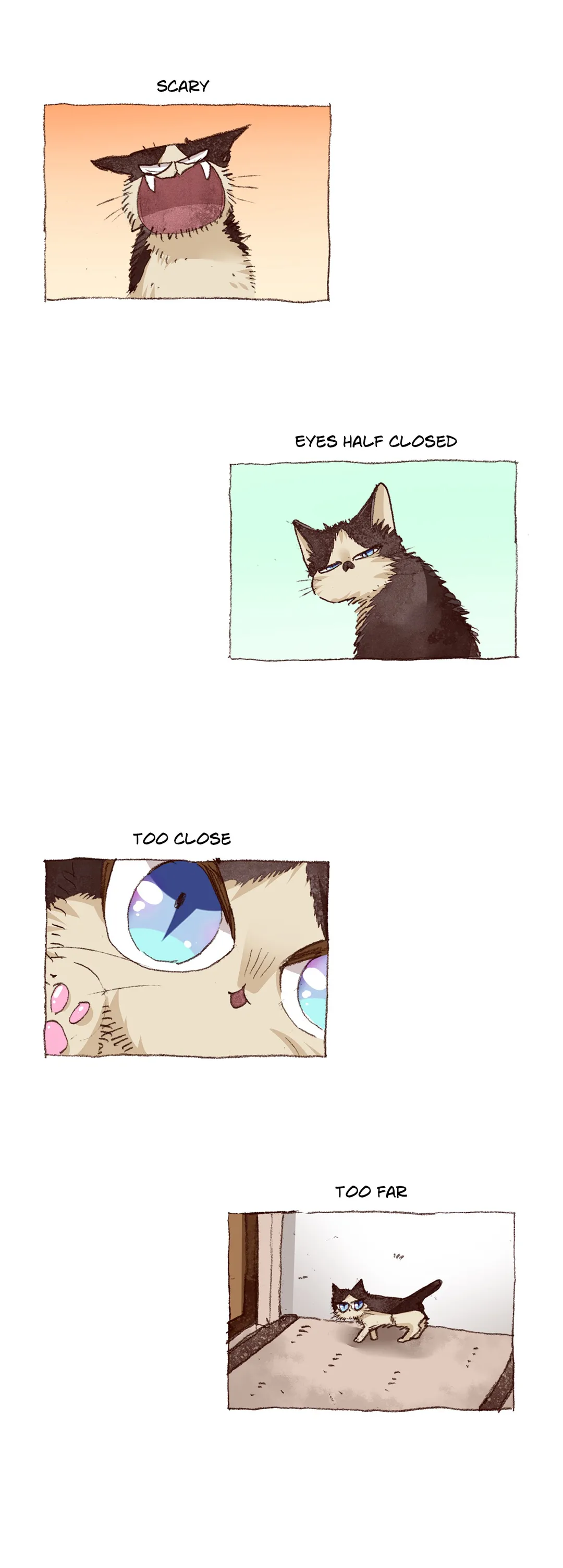 My Roommate Is A Cat Chapter 64 - page 19