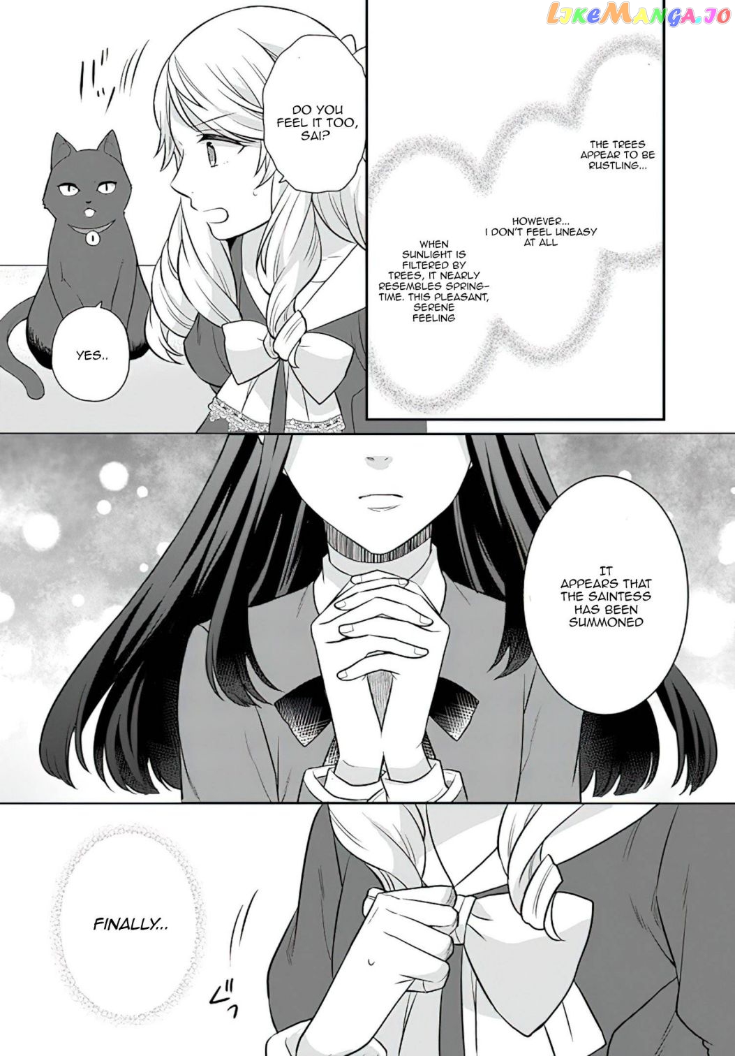 As A Result Of Breaking An Otome Game, The Villainess Young Lady Becomes A Cheat! chapter 26 - page 9