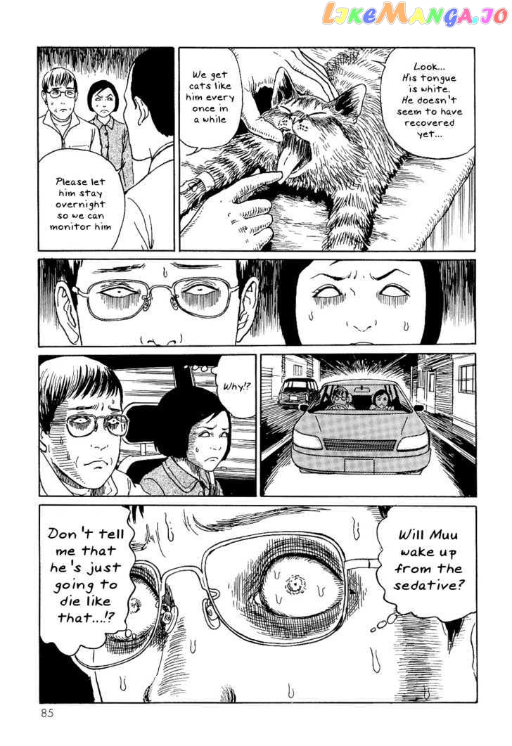 Itou Junji no Neko Nikki: Yon & Mu chapter 8 - page 7