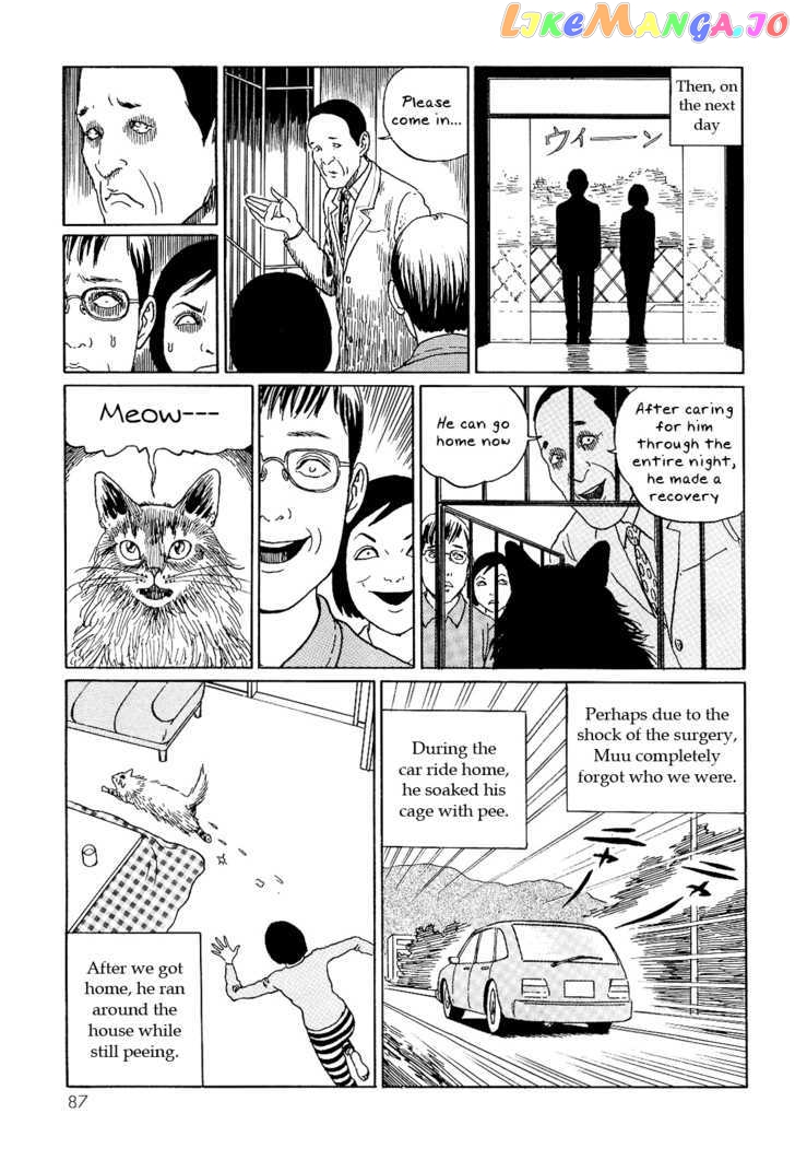 Itou Junji no Neko Nikki: Yon & Mu chapter 8 - page 9