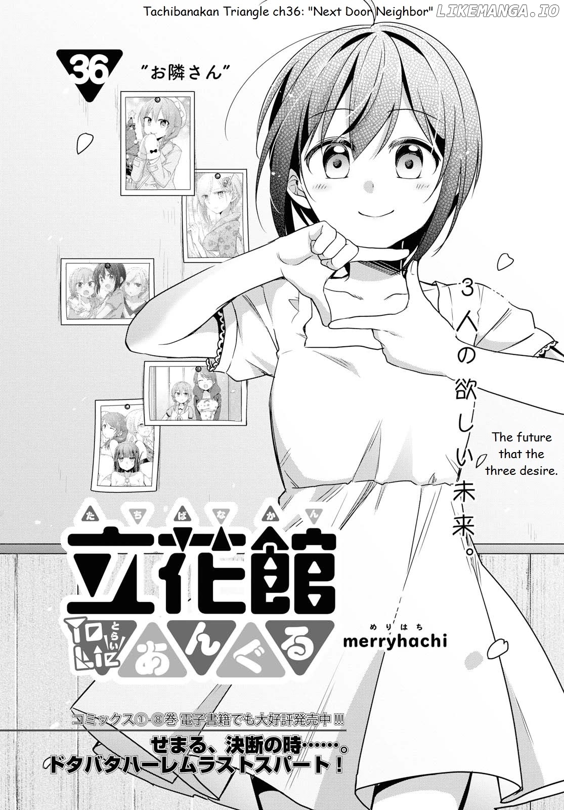 Tachibanakan Triangle chapter 36 - page 2