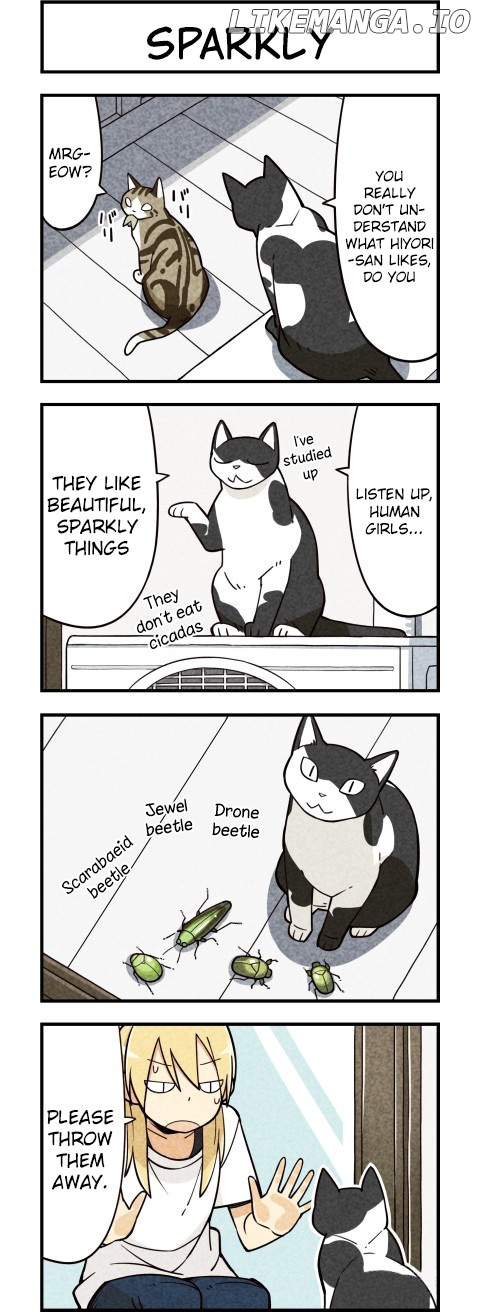 We are Cats chapter 8 - page 5