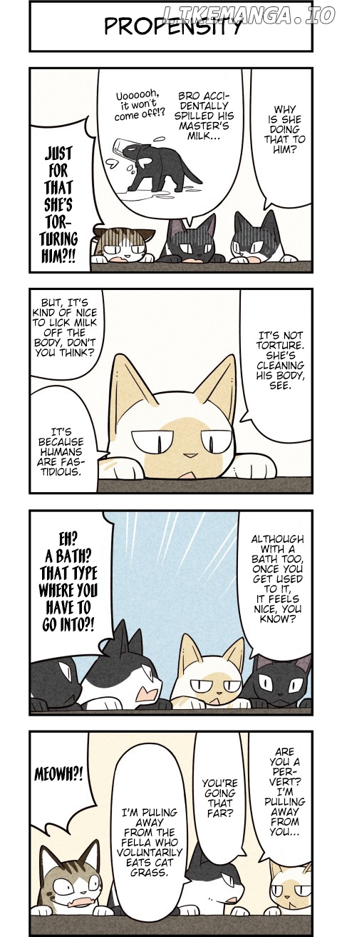 We are Cats chapter 60 - page 2