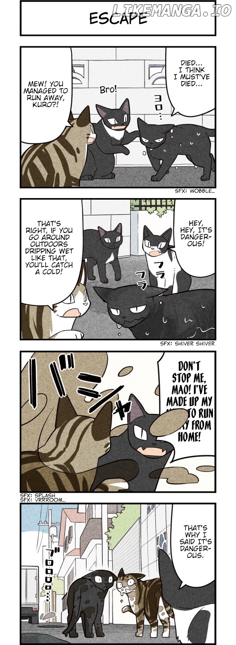 We are Cats chapter 60 - page 3