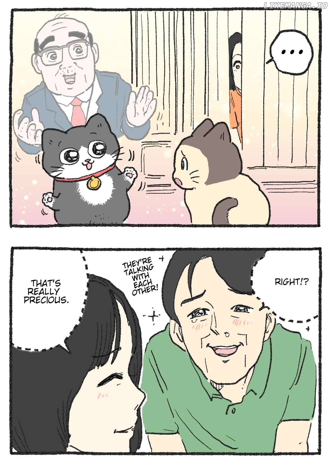 The Old Man Who Was Reincarnated As A Cat Chapter 483 - page 2