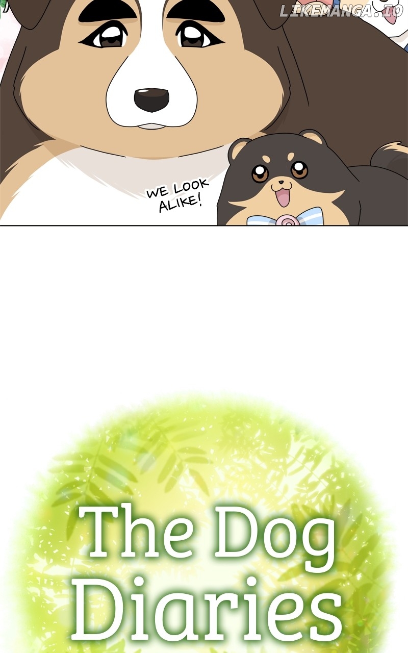 The Dog Diaries Chapter 163 - page 3