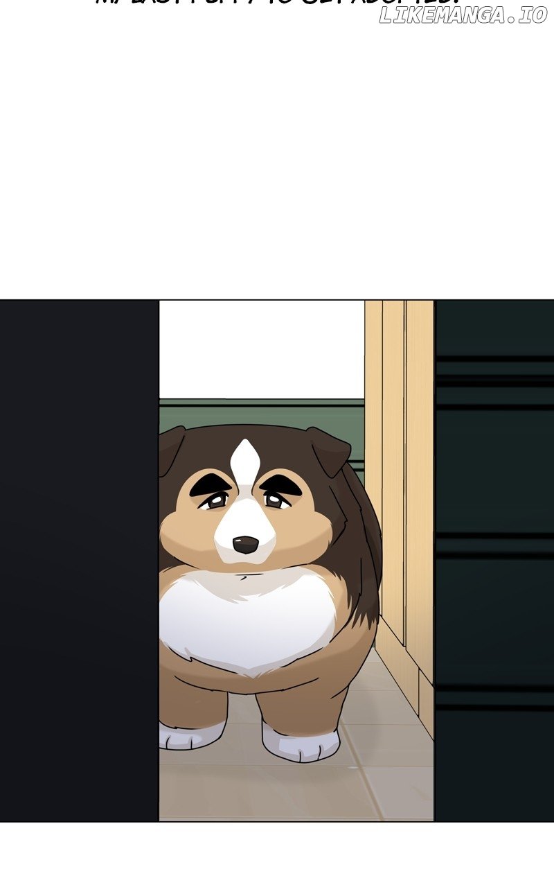 The Dog Diaries Chapter 164 - page 67