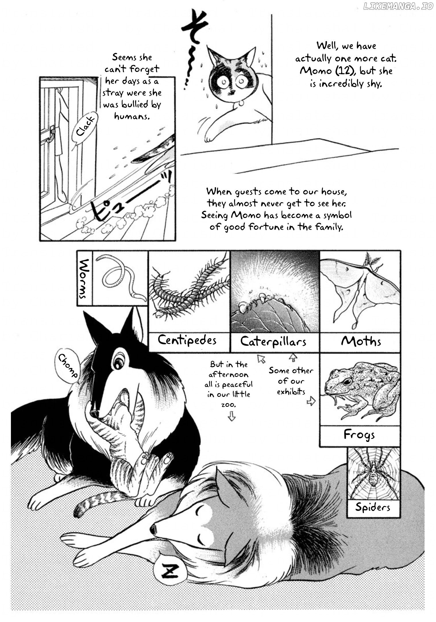 Rintarou Panic! chapter 35 - page 4
