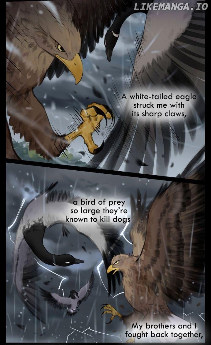 Southern Bird And Northern Bird chapter 42 - page 6