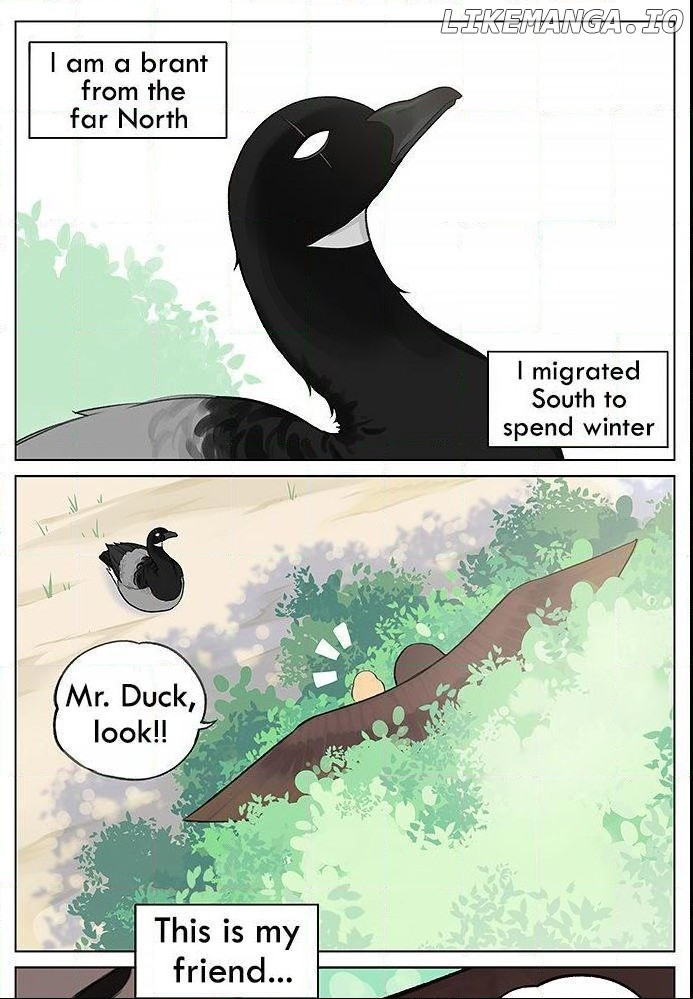 Southern Bird And Northern Bird chapter 34 - page 1