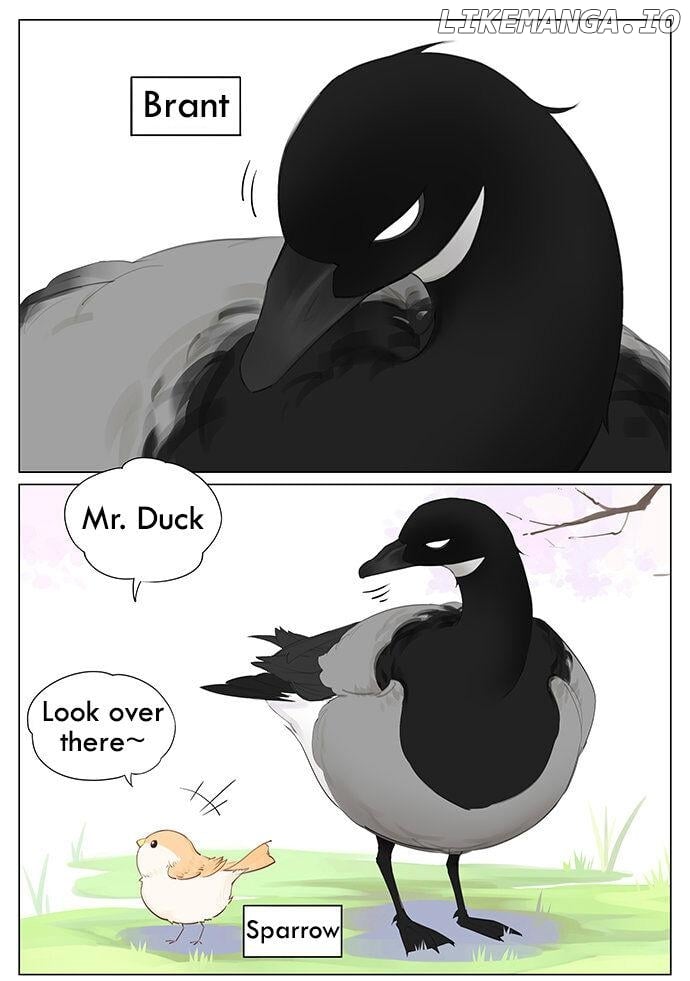 Southern Bird And Northern Bird chapter 43 - page 1