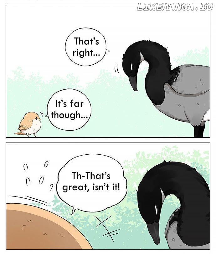 Southern Bird And Northern Bird chapter 19 - page 8