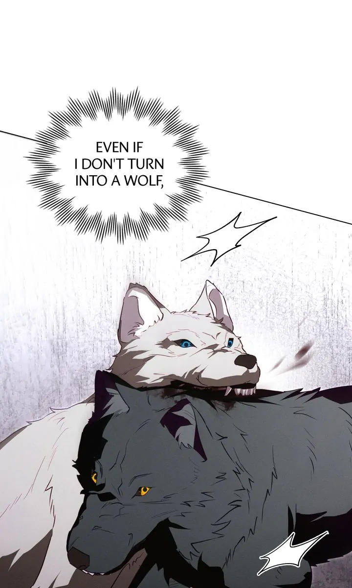 Werewolves Going Crazy over Me Chapter 55 - page 46