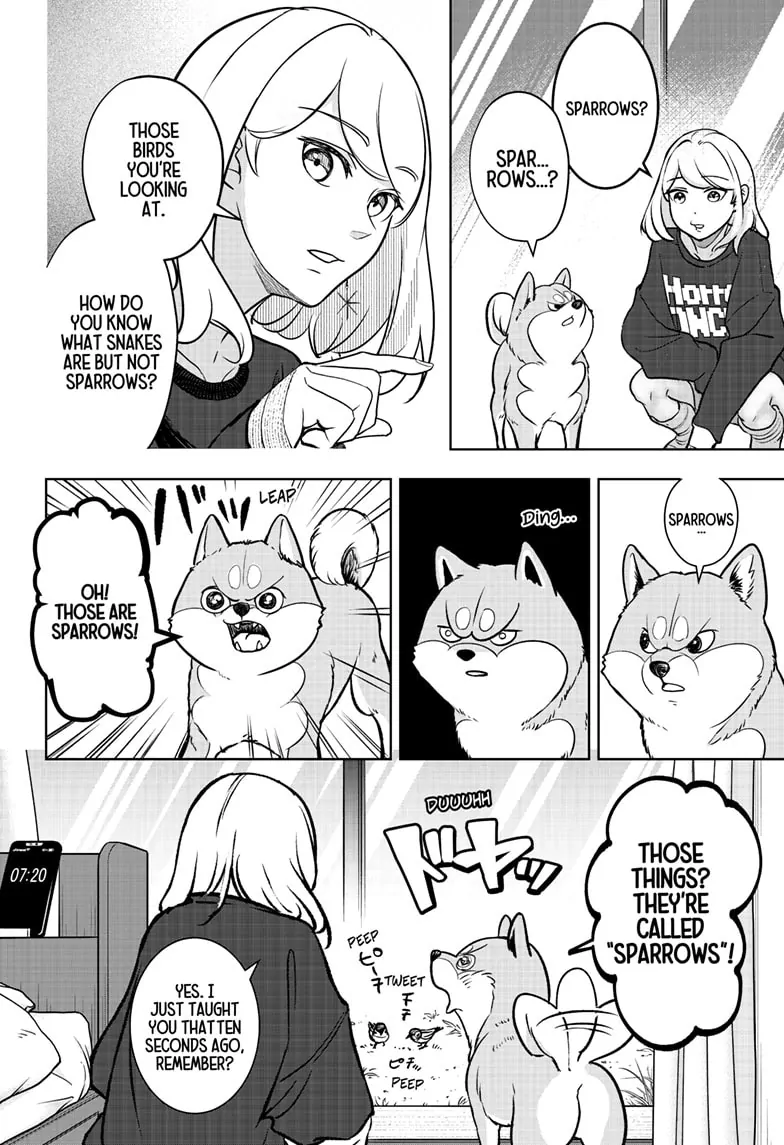 Shiba Inu Rooms Chapter 2 - page 17