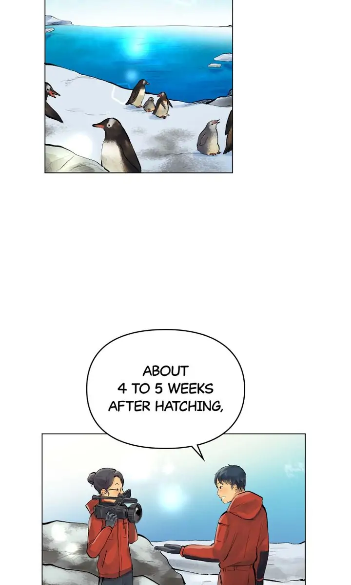 The Summer of Penguins Chapter 12 - page 2